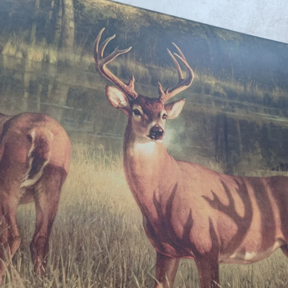 Wallpaper Whitetail Buck by Lake
